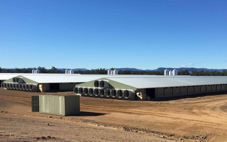 Structural Sheds - RF Steel Building