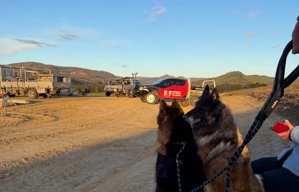 R&F ute and two dogs at the Flagstone Creek shed site before the concrete pour